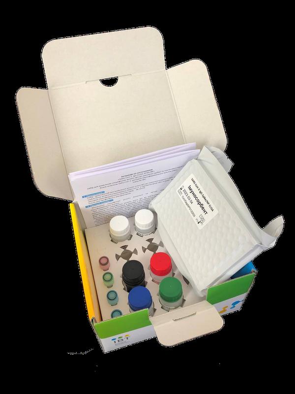 «SARS-CoV-2 IgG ELISA»